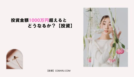 投資金額1000万円超えるとどうなるか？【投資】