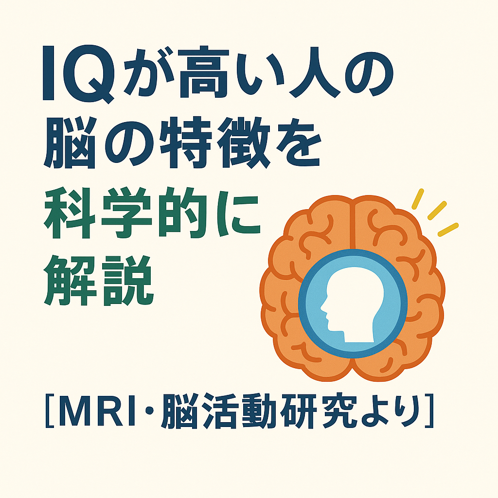🧠IQが高い人の脳の特徴を科学的に解説【MRI・脳活動研究より】
