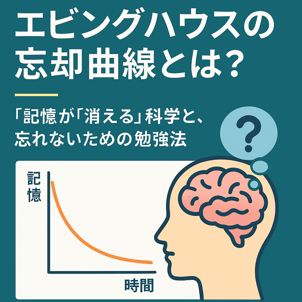 🧠 エビングハウスの忘却曲線とは？｜記憶が“消える”科学と、忘れないための勉強法